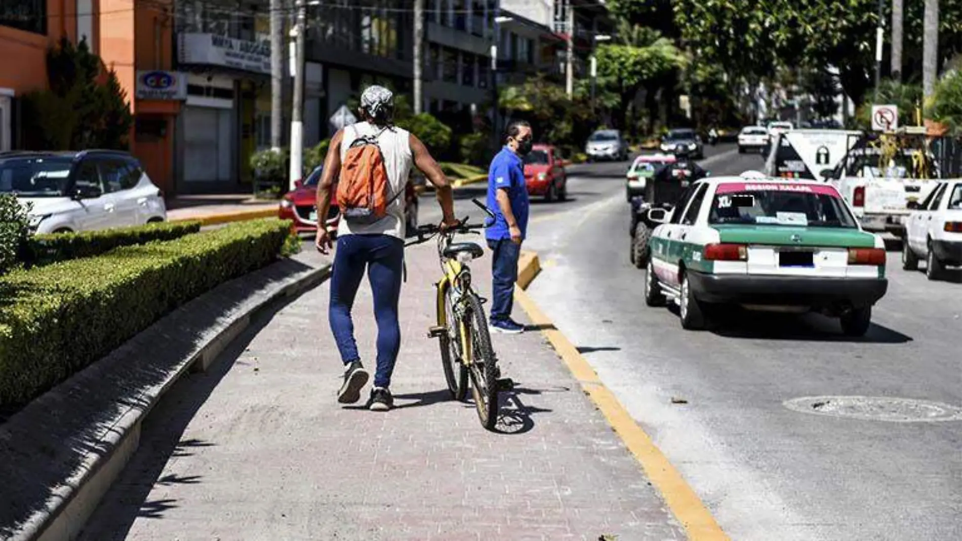 Movilidad xalapeña